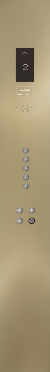 香槟金